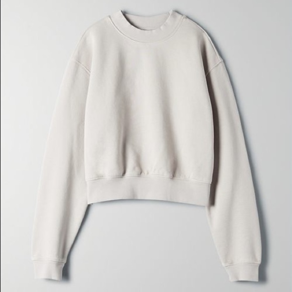 NWOT Aritzia Tna Cropped Caral Sweatshirt
